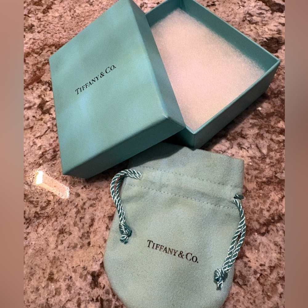 Tiffany & Co. Aqua Box and Pouch Set